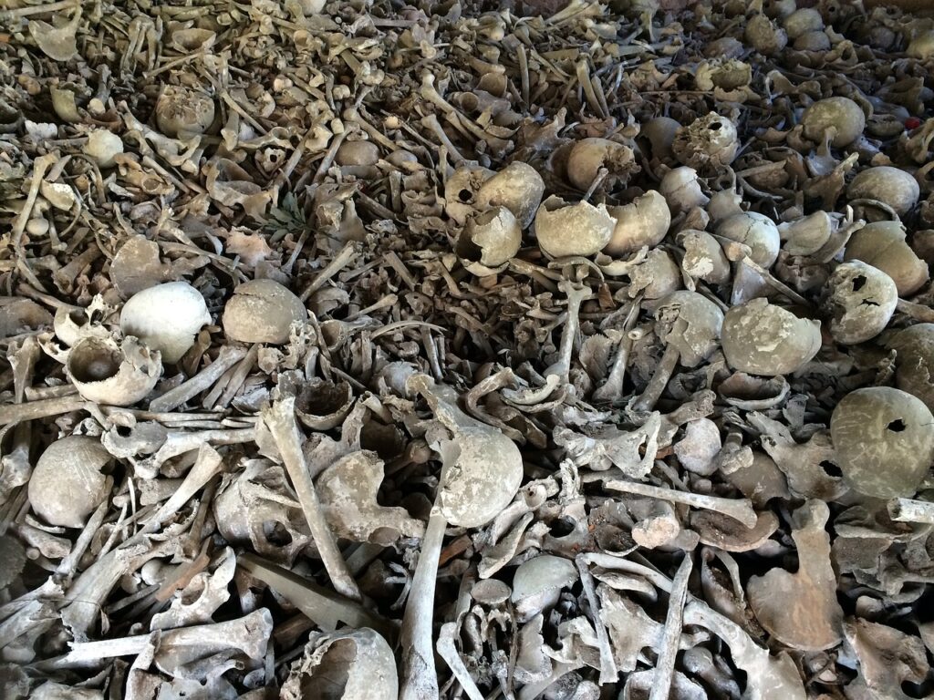 Odkryto masowy grób na ponad 120 zwłok